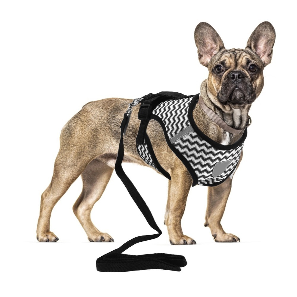 Fabric Weight Set - Netzstoff-Haustiergeschirr-Set I-Form-Struktur Leichtgewichtige Katzen-Zugleine Wellenstreifen-Muster Reflektierende
